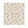 Bijenwasdoek M 250 x 280mm (10 stuks)