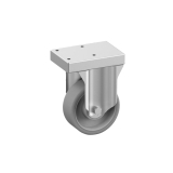 Roestvrij Stalen Wielen Ø 100 mm (2 Stuks)